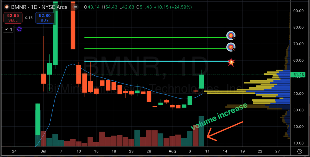 Bitmine Immersion Technologies Inc. (Ticker- BMNR)