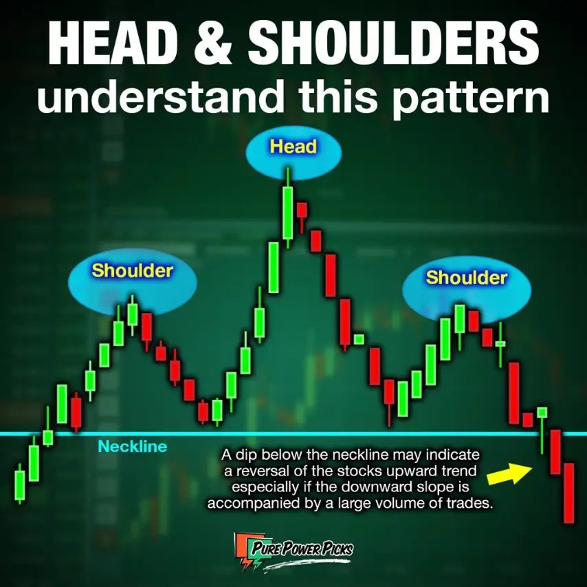 Head & Shoulders infograph
